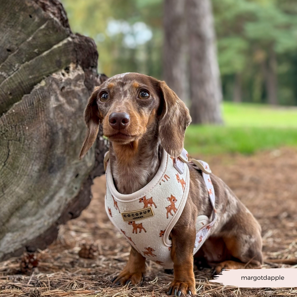 Fleecy Fawn Adjustable Neck HARNESS