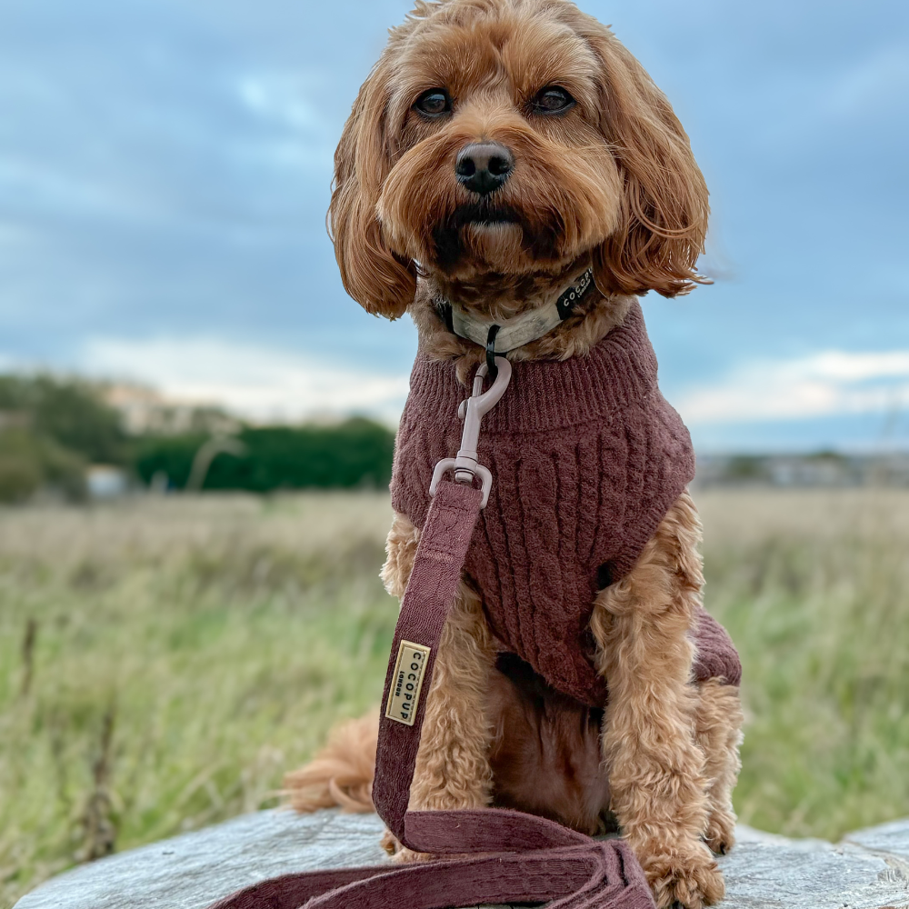 Hot Coco Cable Knit Adjustable Neck Harness, Lead & Collar Bundle