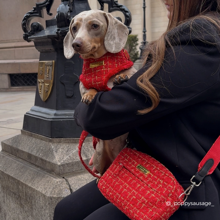 Red Textured Tweed Dog Walking Bag Bundle - Red Textured Tweed