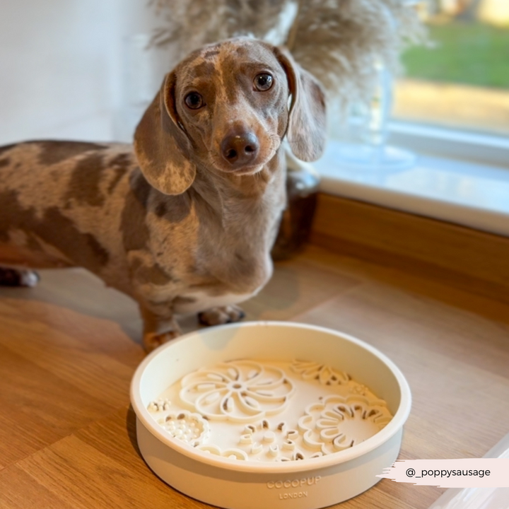 Silicone Slow Feed Dog Bowl - Cream Flowers