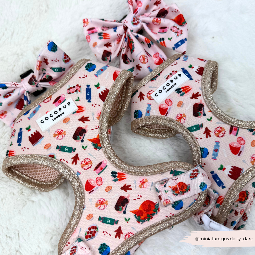 Cracking Christmas Dinner Sailor Bow Tie