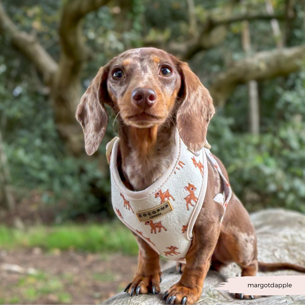 Fleecy Fawn Adjustable Neck HARNESS