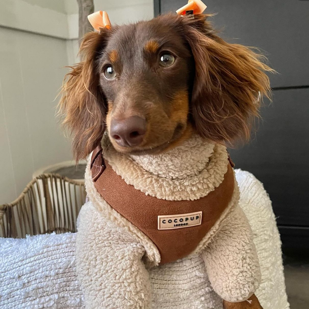 Brown Aviator Adjustable Neck Harness