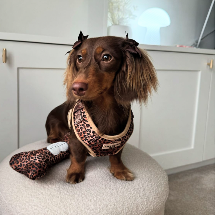 Quilted Leopard Pup Adjustable Neck Harness