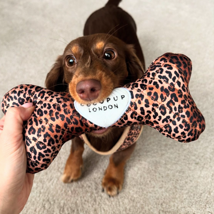 Quilted Leopard Pup Adjustable Neck Harness