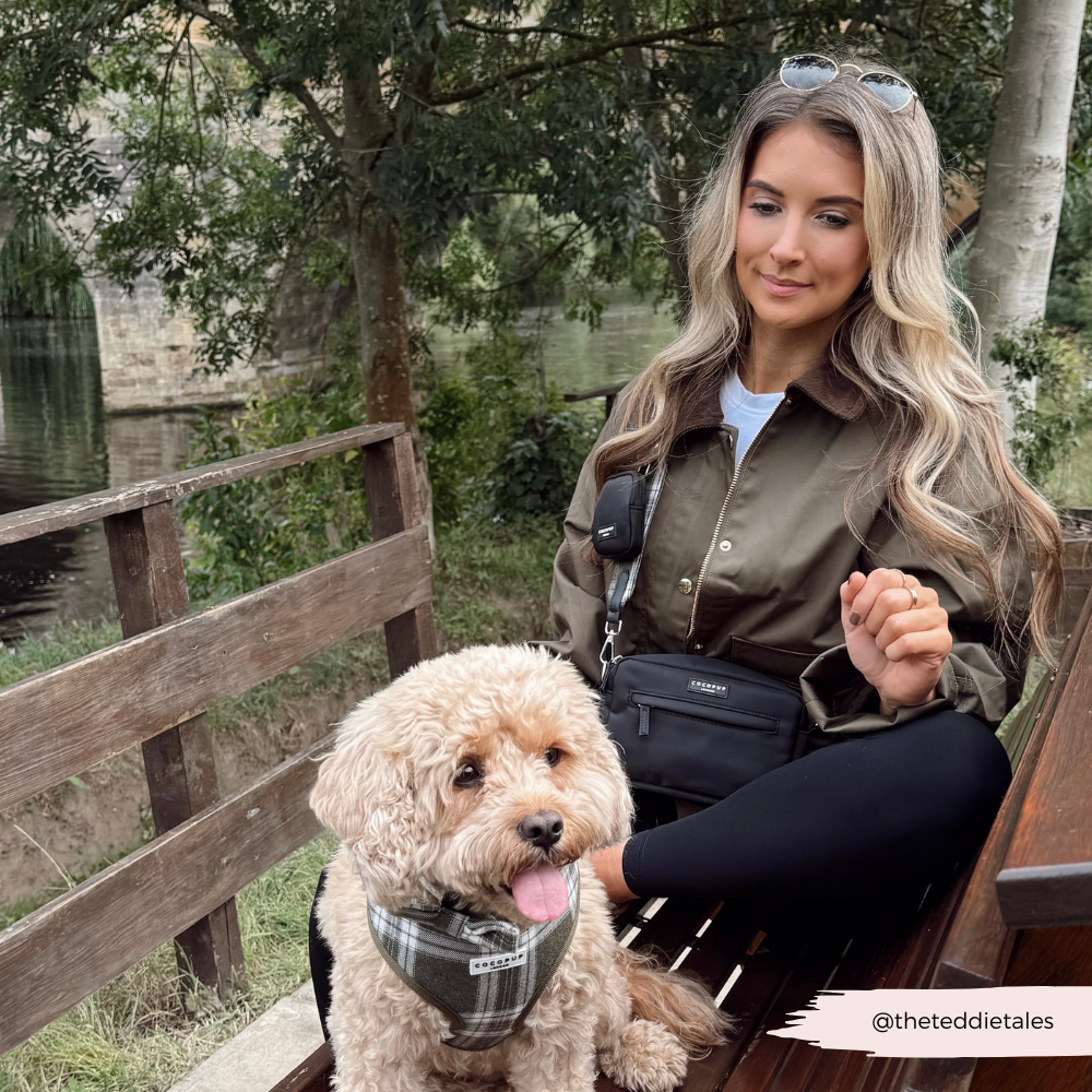Dog Walking Bag Bundle - Olive Check
