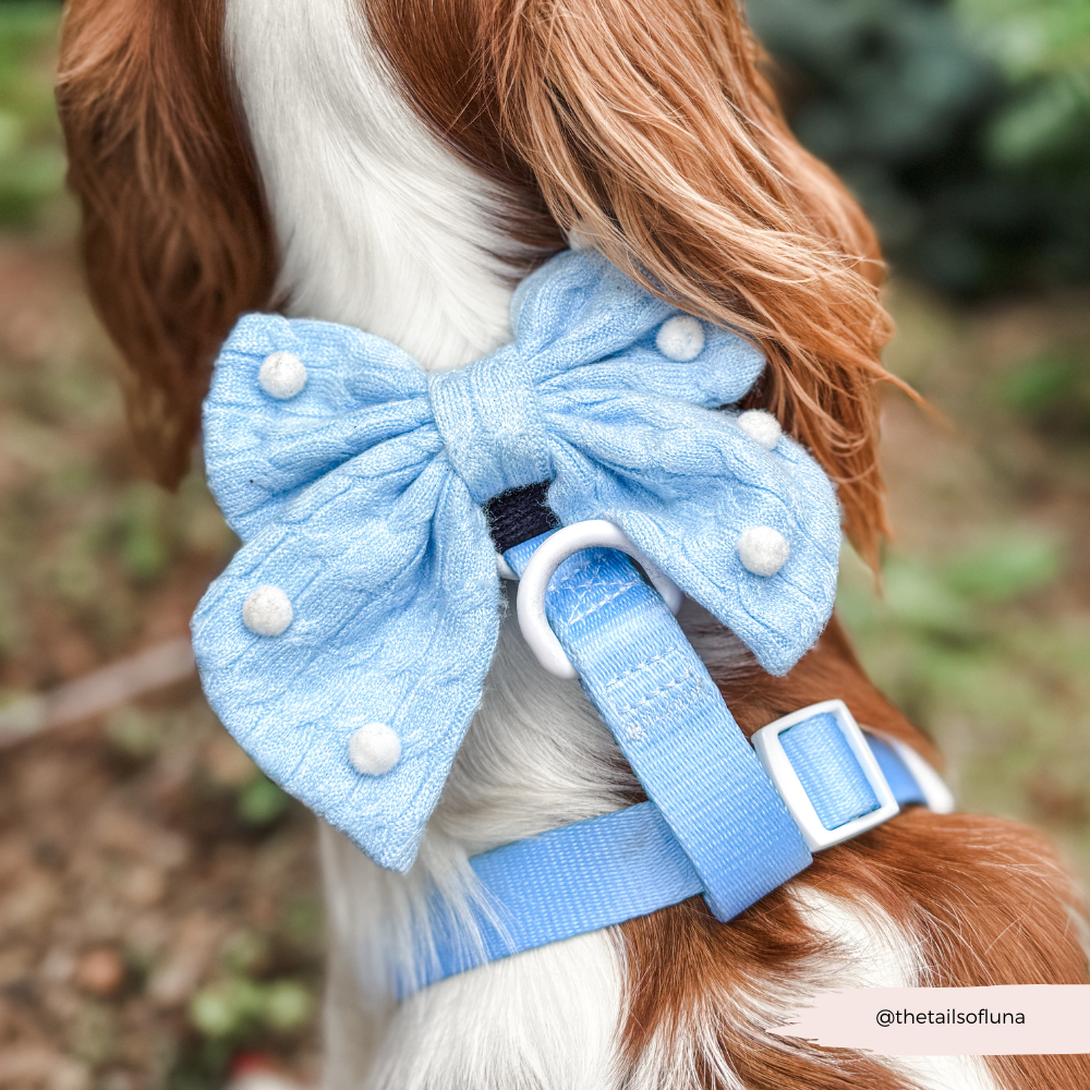 Snowpaws Sailor Bow Tie