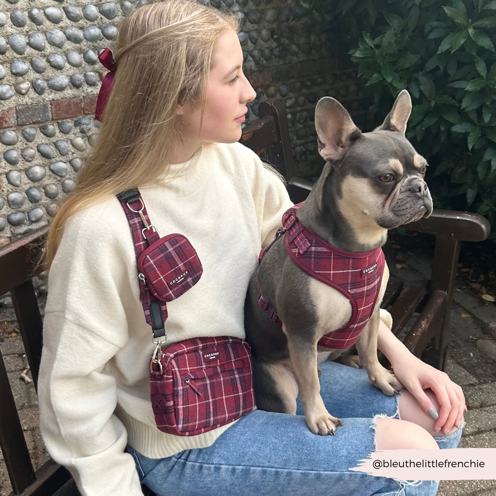 Mulberry Plaid Dog Walking Bag Bundle - Mulberry Plaid