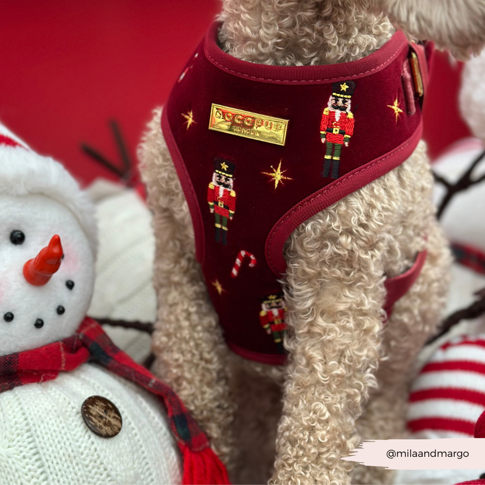 The Muttcracker Adjustable Neck Harness, Lead & Collar Bundle