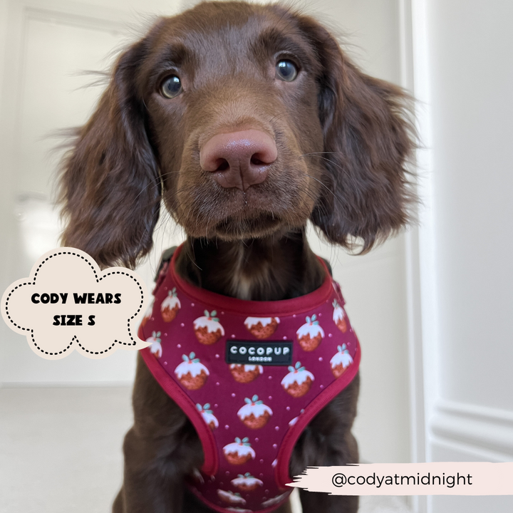 Woofmas Pudding Adjustable Neck Harness