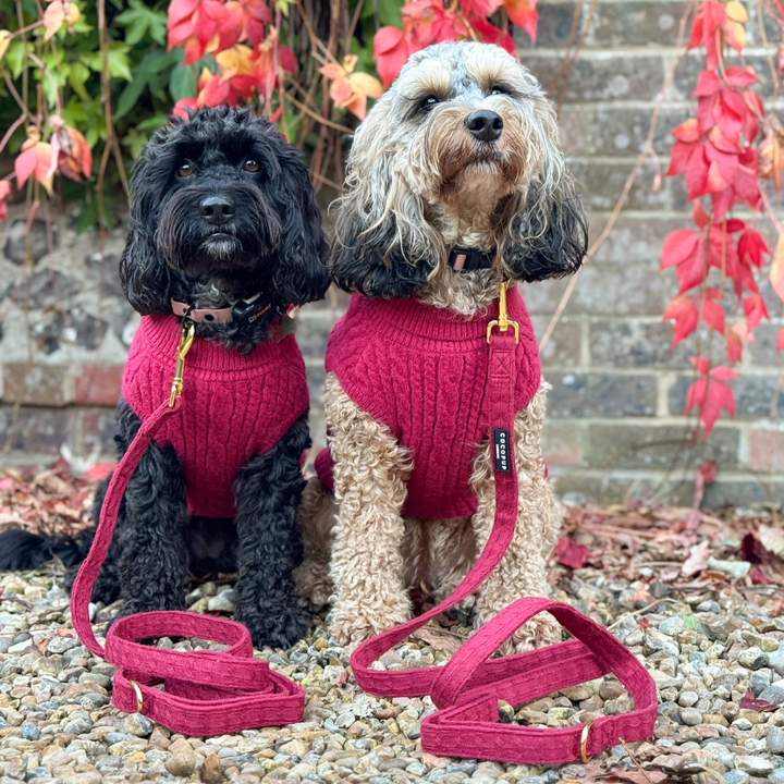 Mulled Wine Cable Knit Adjustable Neck Harness, Lead & Collar Bundle