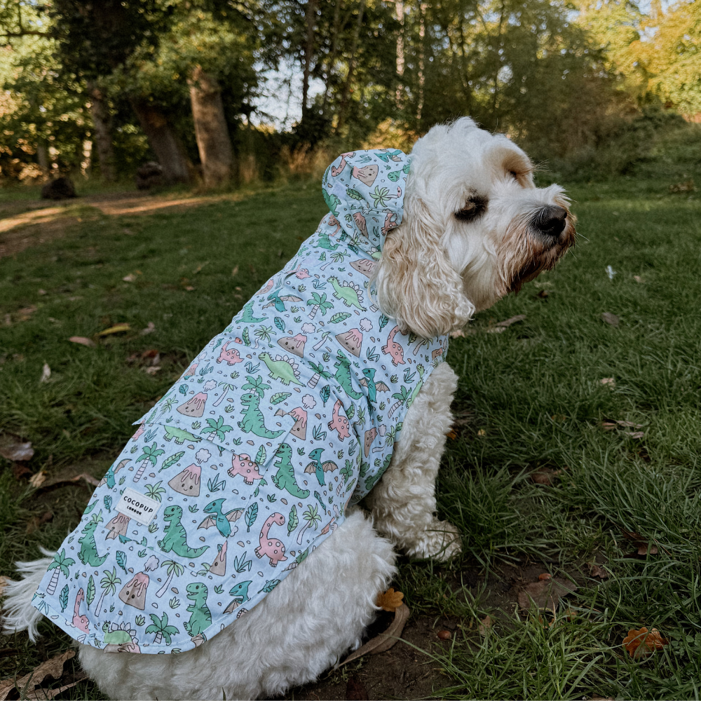 Dog Raincoat - Dinopaws