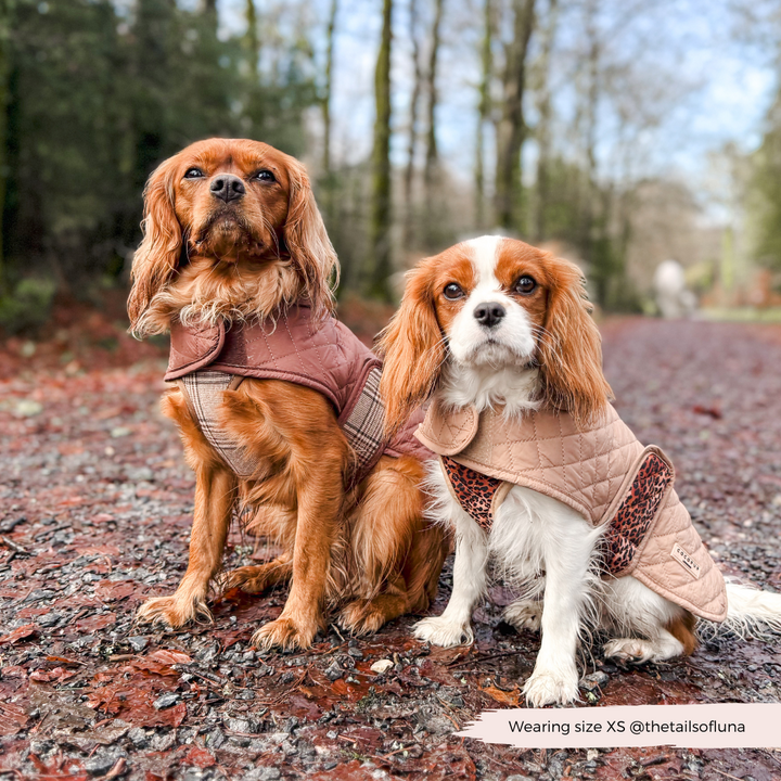 LUXE Quilted Dog Coat - Pup Plaid