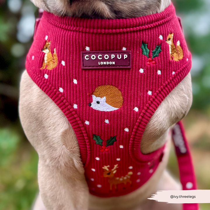 Holly Jolly Trails Adjustable Neck Harness, Lead & Collar Bundle