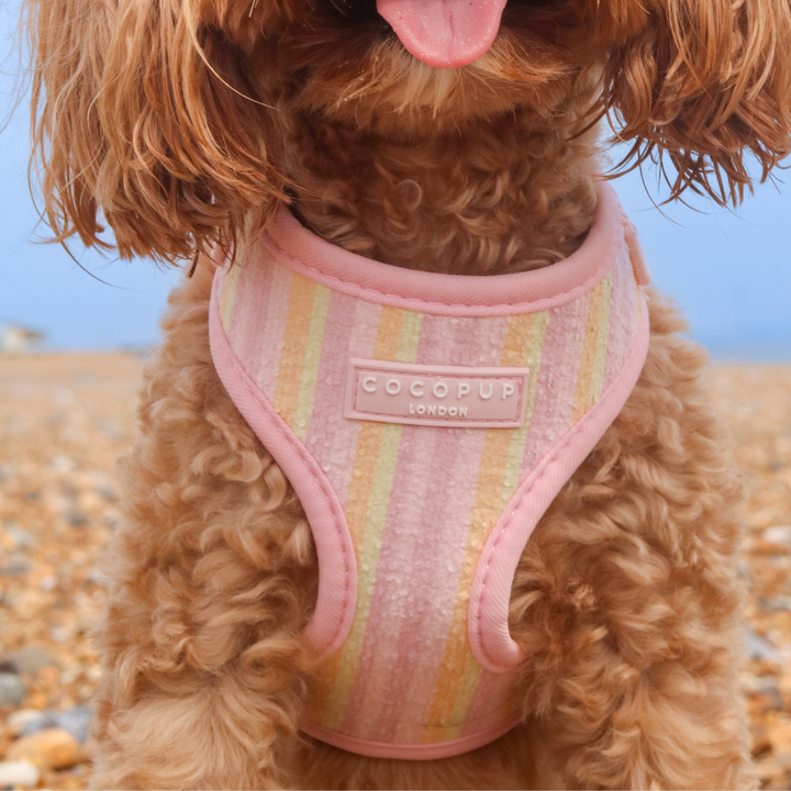 Pastel Stripes Adjustable Neck HARNESS
