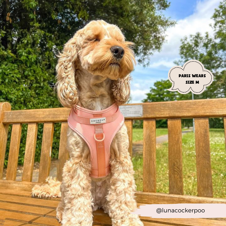 NAKD Adjustable Neck Harness - Peach Floof