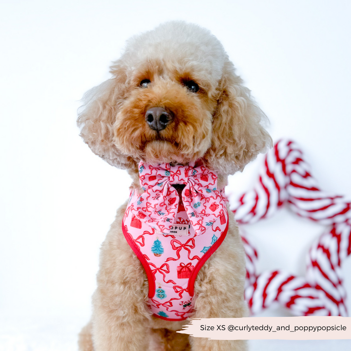 Pupmas Kisses Adjustable Neck Harness