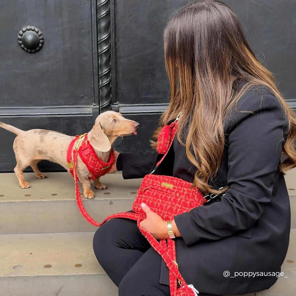 Red Textured Tweed Dog Walking Bag Bundle - Red Textured Tweed