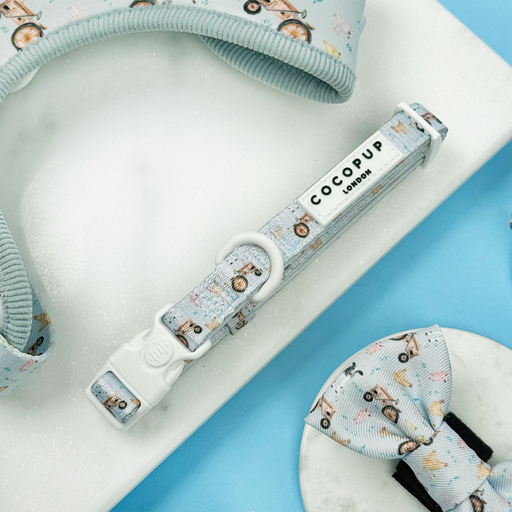 Barnyard Buddies Adjustable Neck Harness, Lead & Collar Bundle