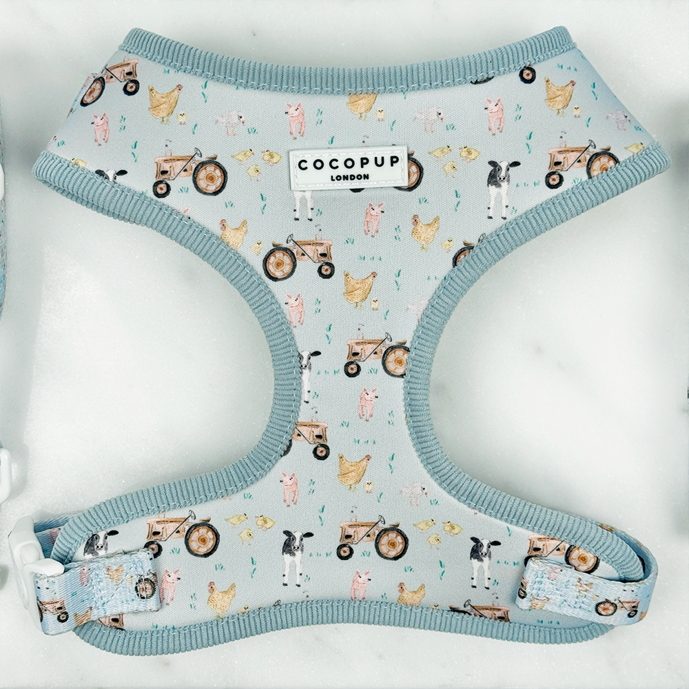 Barnyard Buddies Adjustable Neck Harness, Lead & Collar Bundle