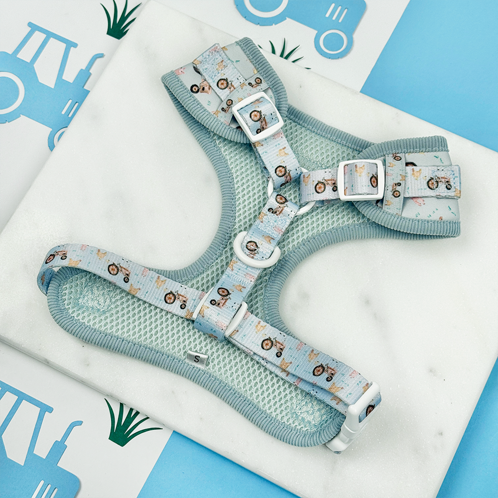 Barnyard Buddies Adjustable Neck Harness, Lead & Collar Bundle