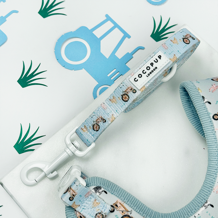 Barnyard Buddies Adjustable Neck Harness, Lead & Collar Bundle