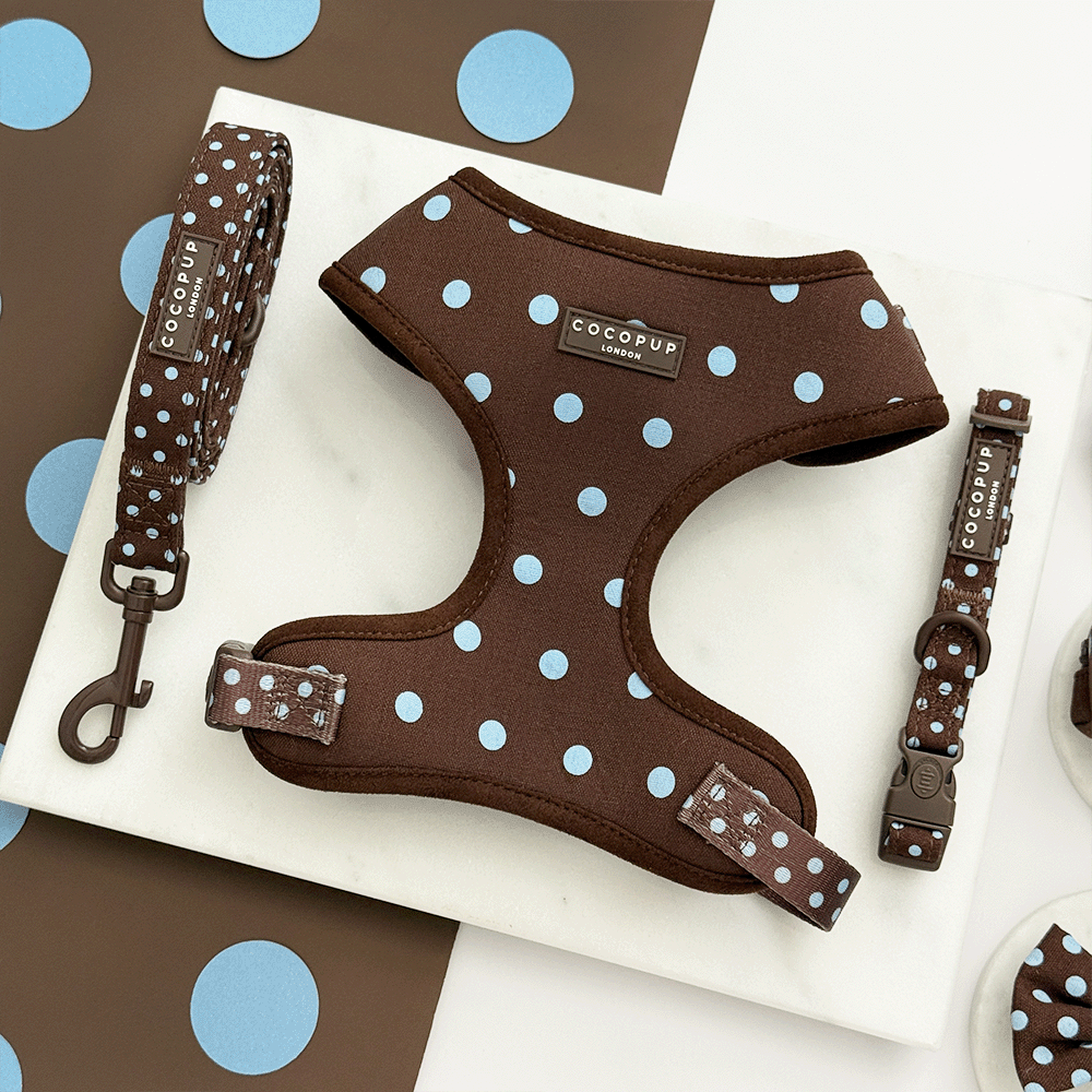 A brown dog harness, lead and collar with light blue polka dot design. Featuring brown hardware.
