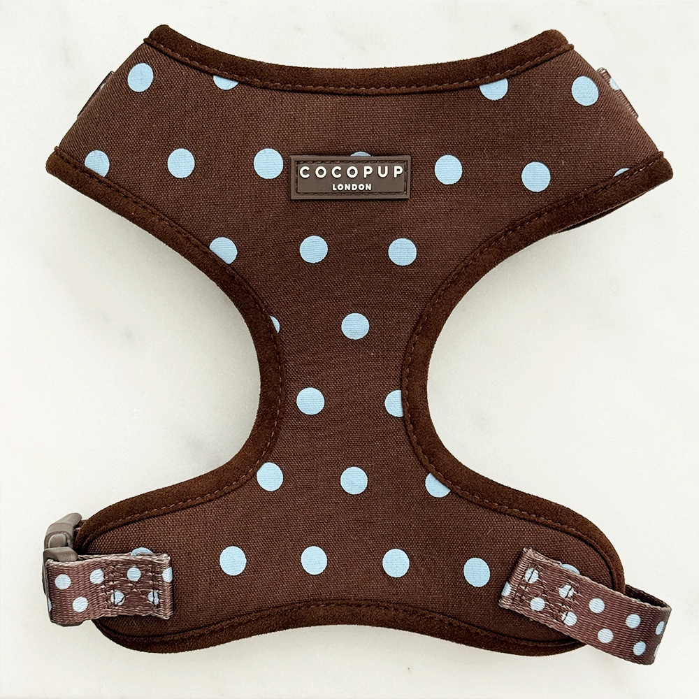 A brown dog harness with light blue polka dot design. Featuring brown hardware.