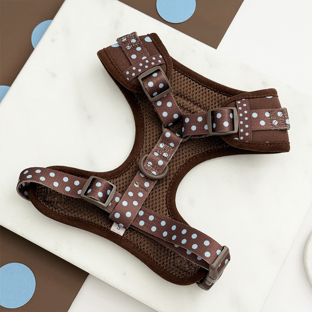 A brown dog harness with light blue polka dot design. Featuring brown hardware.