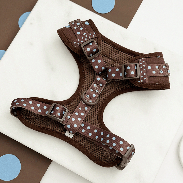 A brown dog harness with light blue polka dot design. Featuring brown hardware.