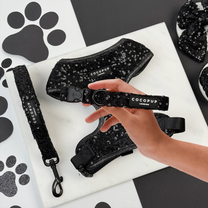 Limited Edition Sparkle Season Black COLLAR