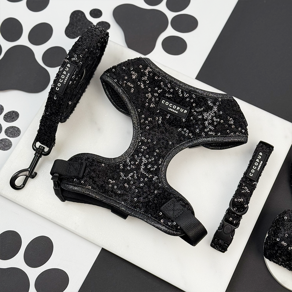Limited Edition Sparkle Season Black Adjustable Neck Harness, Lead & Collar Bundle