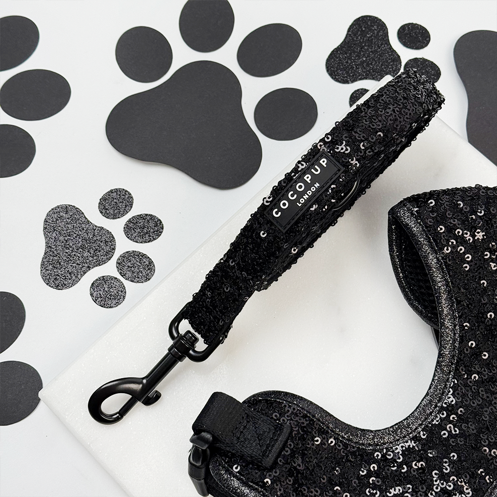 Limited Edition Sparkle Season Black Adjustable Neck Harness, Lead & Collar Bundle