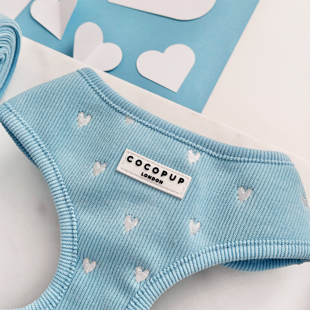 Blue Heartstrings Cord Adjustable Neck Harness, Lead & Collar Bundle