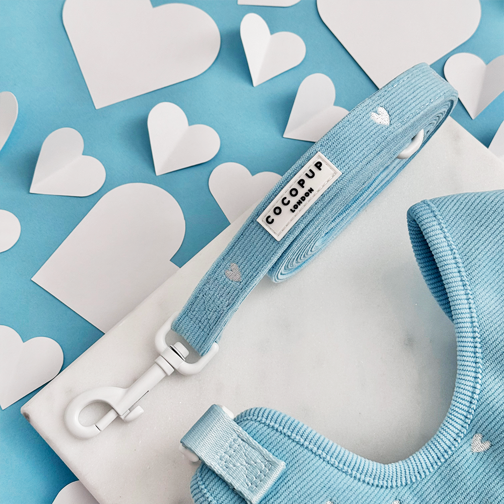 Blue Heartstrings Cord Adjustable Neck Harness, Lead & Collar Bundle