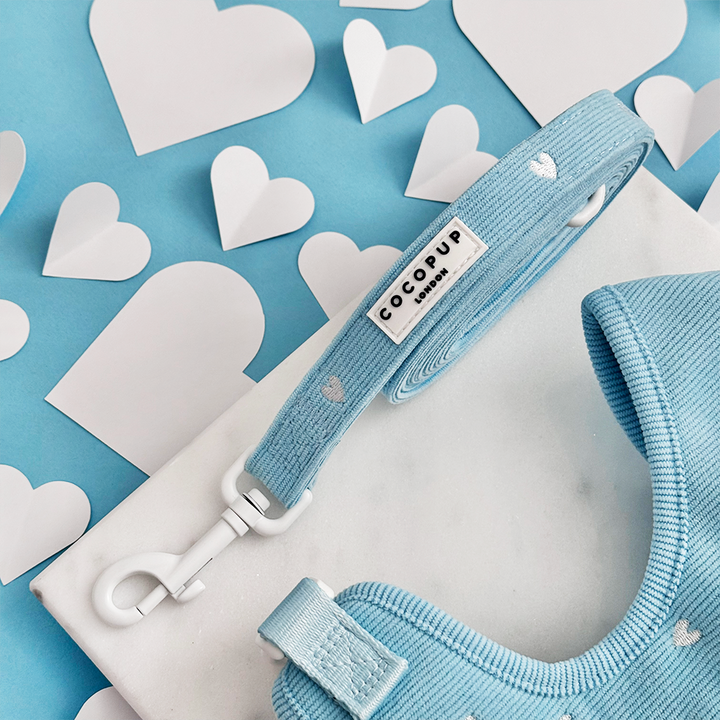 Blue Heartstrings Cord Adjustable Neck Harness, Lead & Collar Bundle