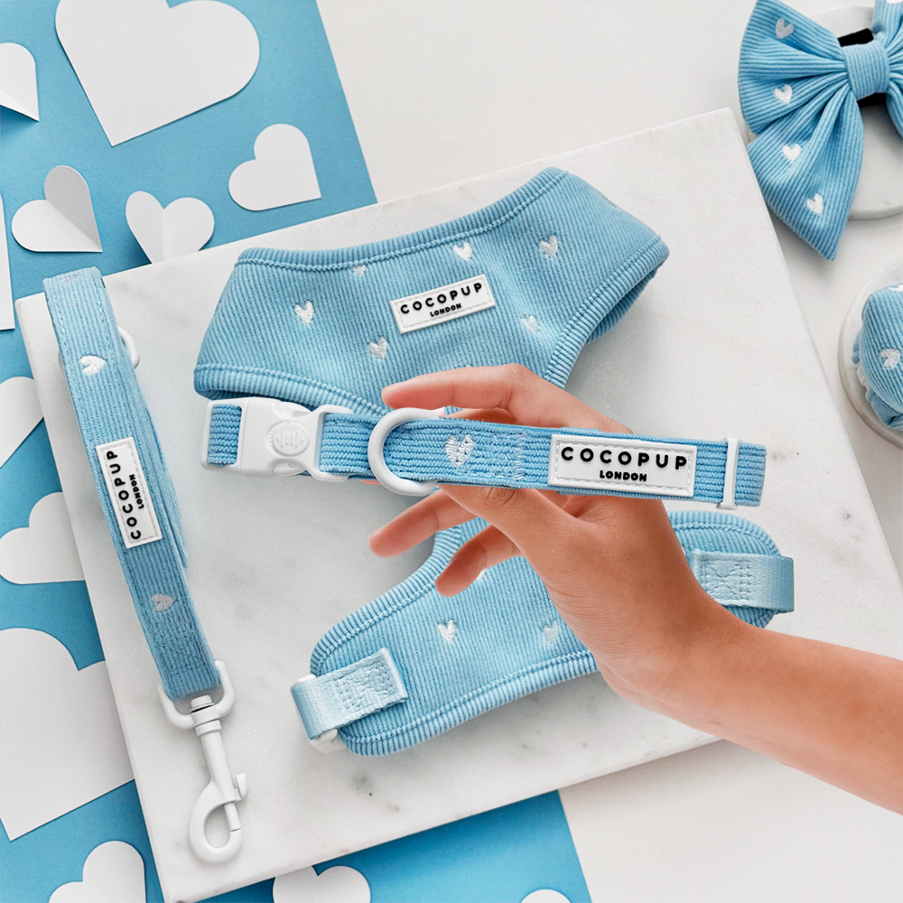 Blue Heartstrings Cord Adjustable Neck Harness, Lead & Collar Bundle