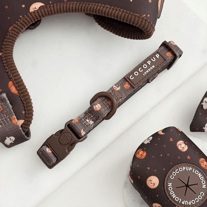 Brown dog collar with cute Halloween print featuring pumpkins, ghosts, and moons.