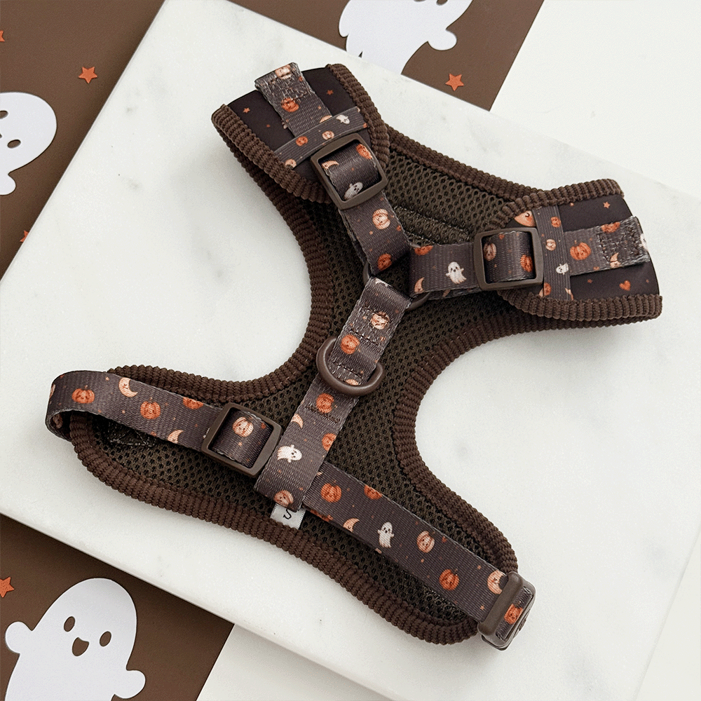 Brown dog harness with cute Halloween print featuring pumpkins, ghosts, and moons.