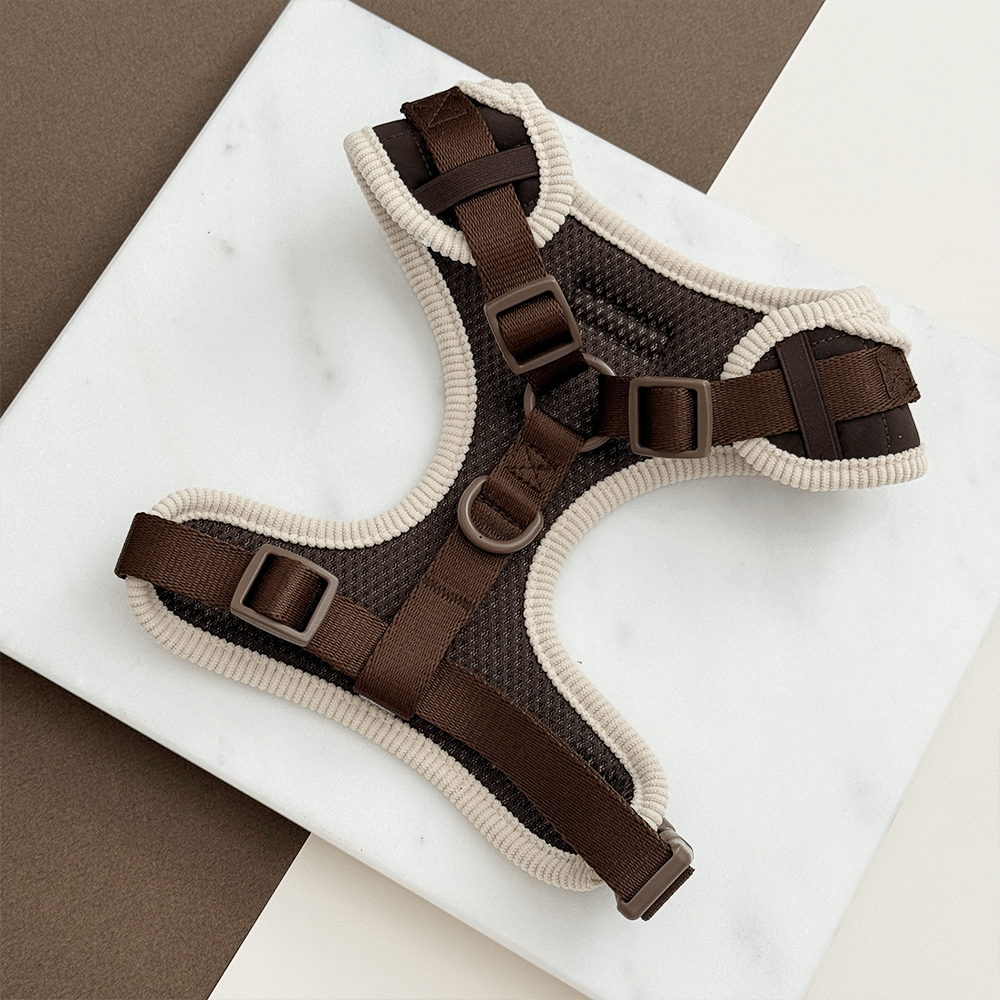 Burford Quilted Adjustable Neck Harness, Lead & Collar Bundle
