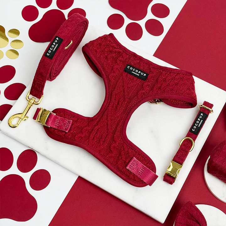 Mulled Wine Cable Knit Adjustable Neck Harness, Lead & Collar Bundle