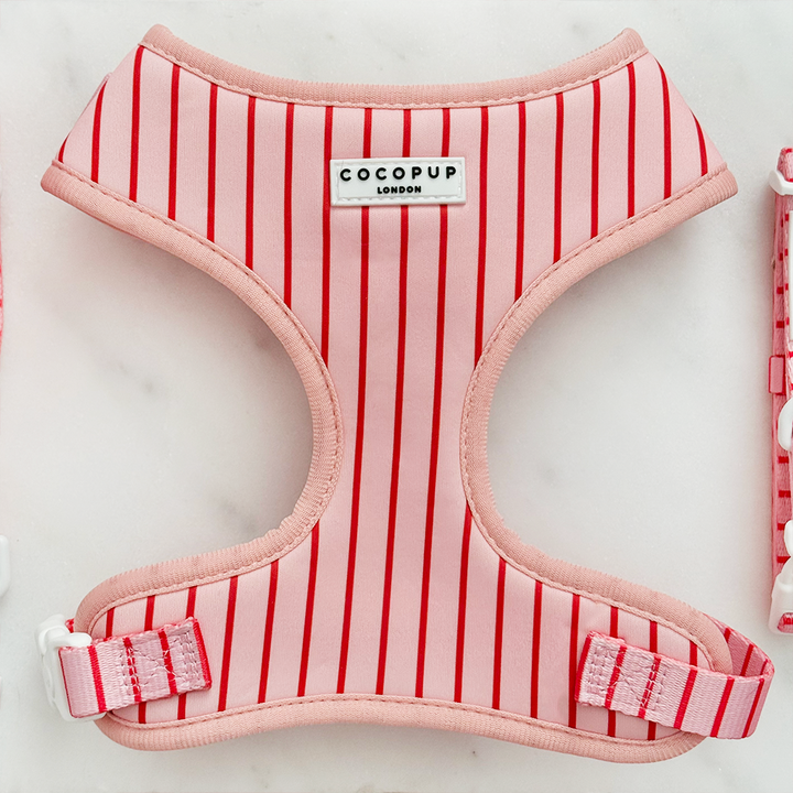 Candy Stripe Adjustable Neck HARNESS