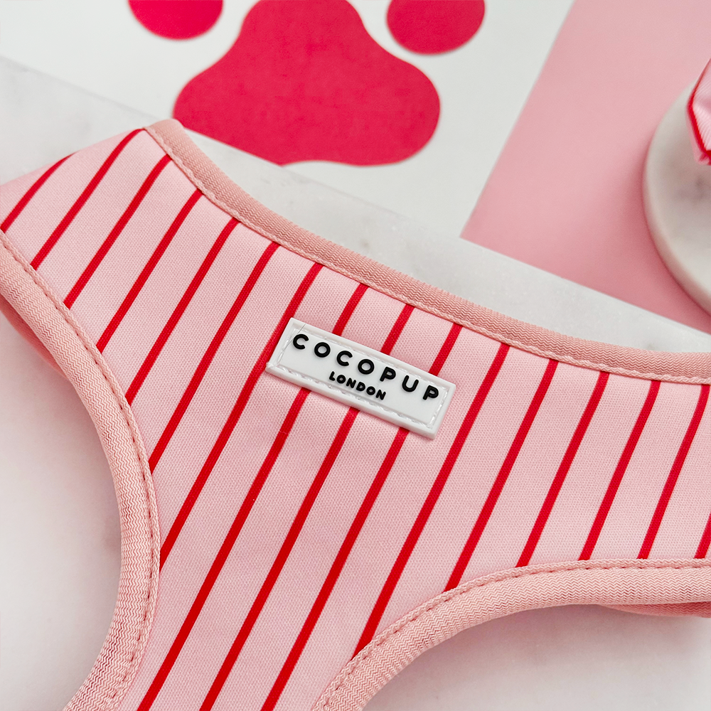 Candy Stripe Adjustable Neck Harness, Lead & Collar Bundle