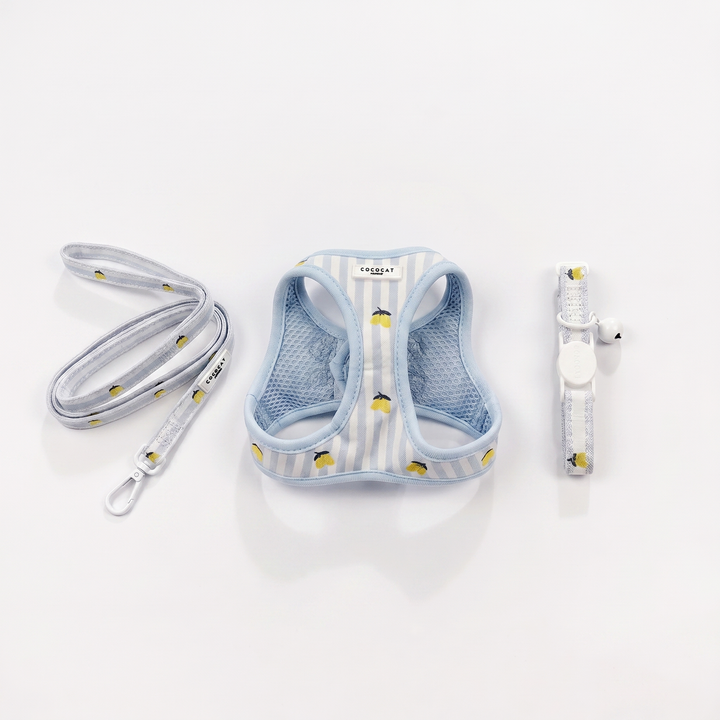 Cat harness, lead, and collar set with small yellow lemons on light blue striped fabric.