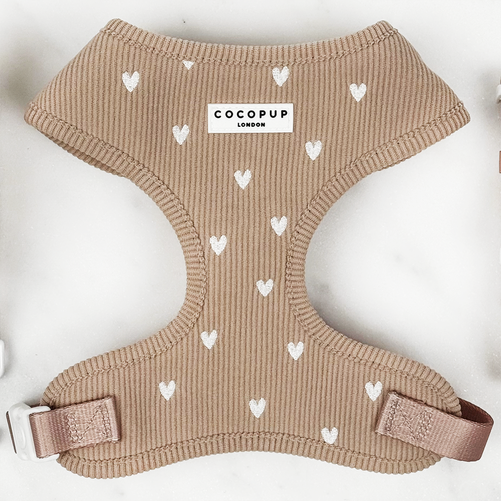 Chai Hearts Adjustable Neck Harness, Lead & Collar Bundle