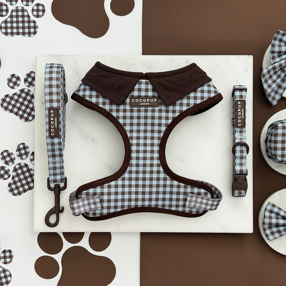 A brown and blue check print dog harness, collar and lead. With brown hardware.