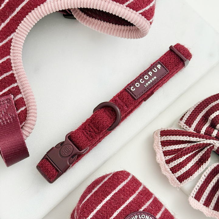 Knitted dog collar in burgundy with colour matched hardware.