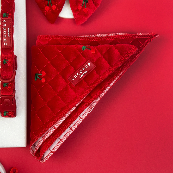 Red quilted dog accessory with COCOUPUP label on a red background