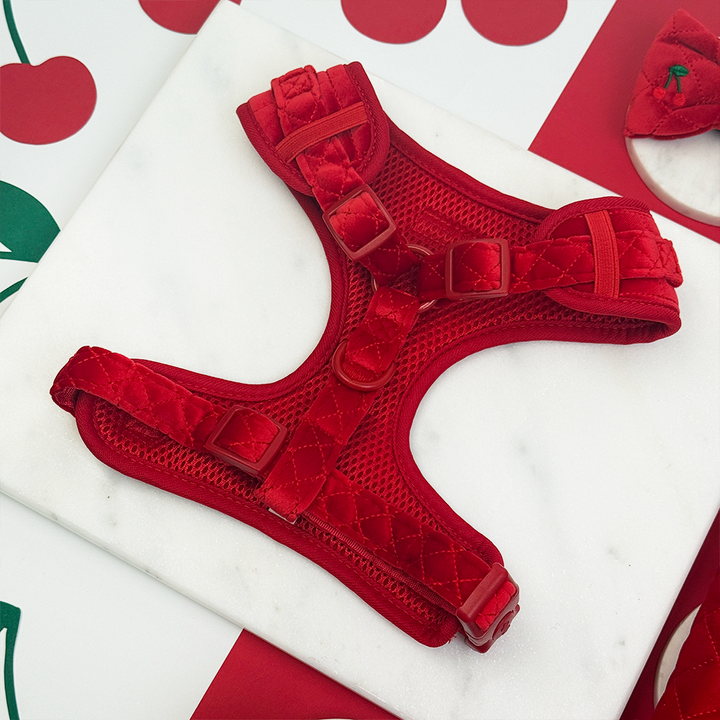 Cherry Velvet Crush Adjustable Neck HARNESS