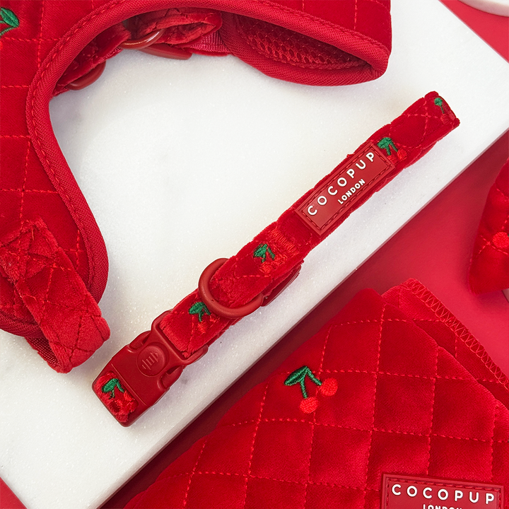 Cherry Velvet Crush Adjustable Neck Harness, Lead & Collar Bundle